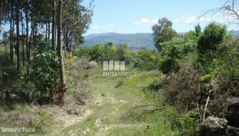 Land for sale, with an area of 5 600 m2, possibility of construction. Good access, good location and quiet location. Santa cruz do Douro, Baião. Ref.:MC08152 FEATURES: Land Area: 5 600 m2 Area: 5 600 m2 Useful Area: 5 600 m2 Energy Efficiency: Exempt...