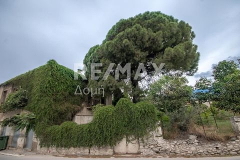 Property Code: 10834-9285 - House FOR SALE in Artemida Kato Lechonia for €320.000 Exclusivity. This 528 sq. m. House is on the Ground floor and features . The property also boasts unobstructed view, . The building was constructed in 1900 Real estate ...