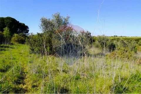 Rustic land with 20,760m2, with excellent views over the valley and hills, with fruit trees (walnut, olive, pear trees), has two reservoirs for water use, container for storage. Excellent for crop production. Get in touch and get to know each other. ...