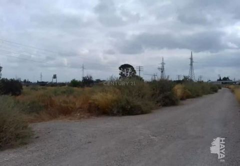 Conjunto de 10 parcelas de suelo urbanizable incluidas en el Sector ZP-Pm6 del PGOU de Murcia, entre el Reguerón y el tramo de autovía entre la pedanía de El Palmar (MU-30), el paso de La Paloma (MU-31) y el municipio de Alcantarilla. Este P.P. proye...