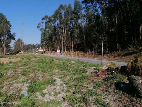 Construction site in Cepães Construction land classified in the municipal master plan as residential space level II. Urbanizable soil for villas, buildings or warehouses. With a total area of 4,656 m2. It is located in the center of the parish. Close...