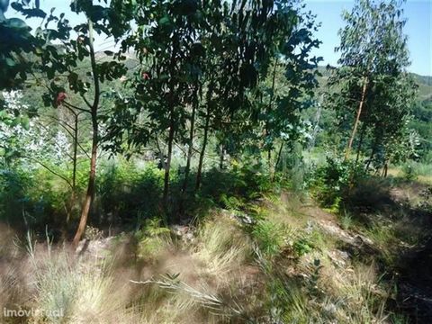 Land in Queimadela Agricultural land, area 1,000 m2 , flat, south sun exposure, unobstructed views. Buy with ERA Fafe ERA Fafe opened its doors in 2005 and built an upward path that is now recognized by the local and national market. Guided by maximu...