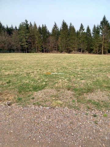 Great opportunity to seize with a plot of land in the municipality of Palazinges. You will be able to exploit up to 2113m2 to build a custom housing. To visit this field, contact your TULLE agency now. Price: 35,310 euros.