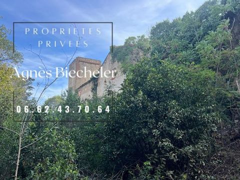 In TROUILLAS (66300), 15 minutes from Perpignan, exclusively at PROPRIETES PRIVEES, come and discover this incredible castle. Nestled in the heart of nearly 4 hectares of pine forests, these Templar remains from the 11th century are just waiting to b...