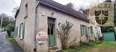 Come and discover this charming farmhouse and its cellars, located in a village in the LOIR valley 5 minutes from La Chartre sur le Loir and 35 minutes from Vendome and its TGV station. The house is currently on one level of about 74 m2 habitable wit...