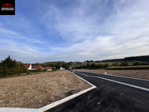 L'immobilière Heckmann offers land ranging from 469m2 to 700m2. Located in a quiet subdivision in Merkwiller-Pechelbronn. Village located 16 km from Haguenau. The village includes many amenities: supermarket, restaurant, hairdresser, medical home, sc...