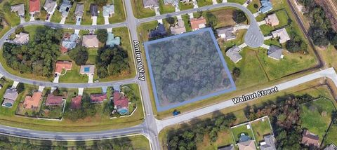 **Versatile Development Opportunity on Walnut Street, Kissimmee, FL** Discover a remarkable investment opportunity in the heart of Kissimmee, FL 34759. Located within the burgeoning Poinciana Vlllage 5 NBHD 1, this promising ±1.54 acres (±66,995 squa...