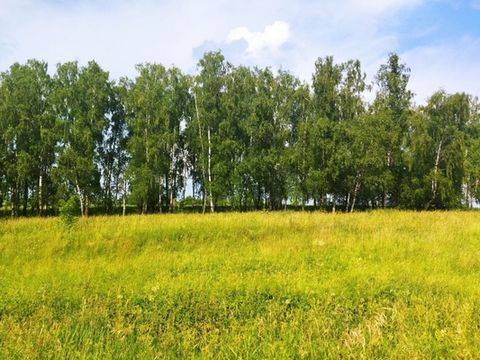 Хороший ровный участок граничит с лесом, находится в небольшой деревне, в красивом, экологически чистом месте, в 2-х км древний храм. Относится к землям населенных пунктов. В непосредственной близости находится лес и каскад прудов. До участка хороший...