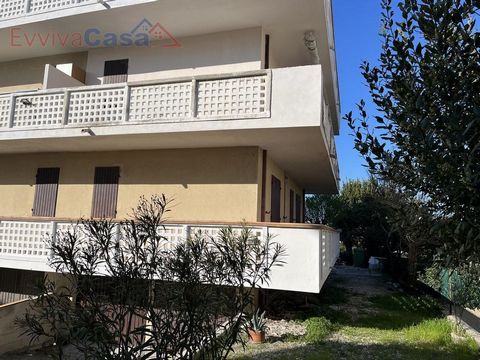 Holiday apartment or residence, sea view, just 100m from the beach in Forcella di Montemarciano (AN), very close to Marzocca di Senigallia, a district inhabited all year round but ideal for holidays, with restaurants and various seaside resorts. In a...