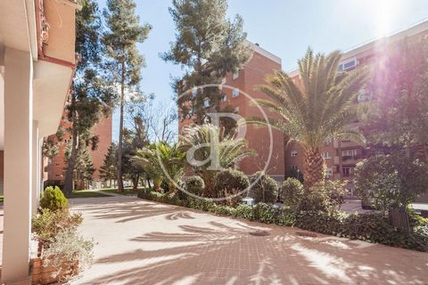 FOUR-BEDROOM APARTMENT WITH TERRACE, POOL AND GARAGE AProperties presents a bright apartment in the neighborhood of Alameda de Osuna. It has 4 bedrooms with fitted closets, 2 bathrooms, one with shower and one with bathtub, and a great living room wi...