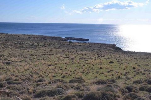 Located in Sitia. Unique and rare seafront building plot of 21,983 m2, nicely positioned at the western edge of the village of Kalo Nero, between Makrygialos and Goudouras, at the south-eastern coast of Crete. With a shoreline of about 70 meters, the...