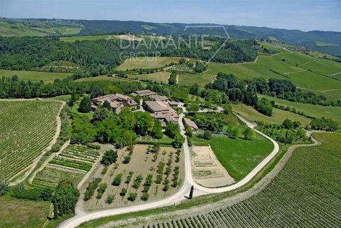 Castellina in Chianti (SI): Organic winery estate spanning 132 hectares with a medieval village dating back to the year 1000 AD, comprising: 32 hectares of vineyards, including 18 hectares of Chianti Classico DOCG vineyards and 14 hectares of IGT vin...