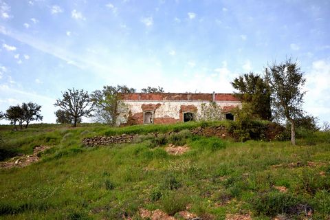Located in Loulé. The land presents itself has a wonderful space for the development of agricultural activities, allowing the practice of sustainable agriculture or even the implementation of agritourism projects and also offers vast potential for an...