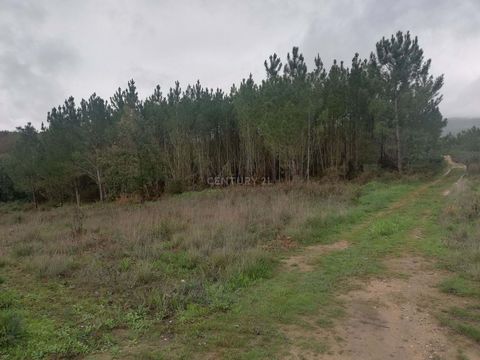 Rustic land with 9,560m2 of woods, vines, apple trees and pine trees. If you are looking for peace and harmony with nature; this is the ideal terrain. Access by dirt road less than 100mts from the tar road; close to mains electricity and water. It is...