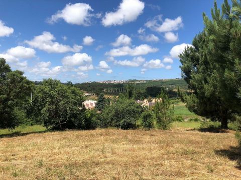 Land with 13,600 square meters, located 5 minutes from Óbidos Castle. Come visit!