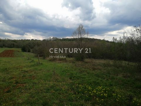 AGRICULTURAL LAND NEAR LIM BAY IN ISTRIA Land has an access road suitable for off-road or agricultural vehicles. The land is located near Sv. Lovreča, Krunčići village. For all information, viewing and arrangements, please call no. tel ...