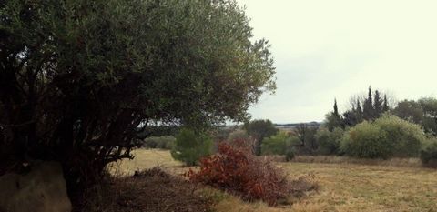 Near Bize-Minervois, superb individual, flat building plot of 1400m2, connected to services, with superb views! The plot is independent, not part of a housing development You can build a property up to 250m2. Rare opportunity to build your villa in a...