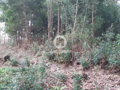 Excellent rustic land with a total area of 3350m2, located near a residential area of the parish of Guilhabreu, all walled, close to public services and with excellent access. Come visit!!