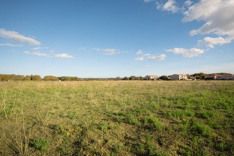 photo no. 3