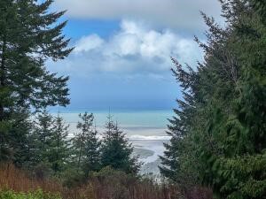 1503 Lighthouse Road contains vast forested acreage at 900 feet above sea level where a cabin in the woods awaits in a clearing overlooking the coastline. Year round spring water supplies the residence with two water tanks for storage. Off the grid l...