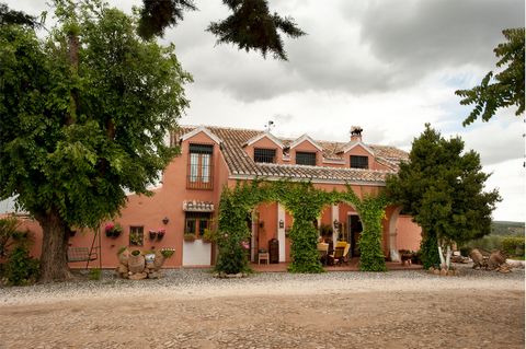PARADISE IN SOUTHERN SPAIN In the hearttland of southern Spain, Andalucia, Malaga (Archidona, Villanueva de Tapia) is located this area of peace, thanquility, relax and a place where the olive trees grow as they do since hundreds of years. Lets talk,...
