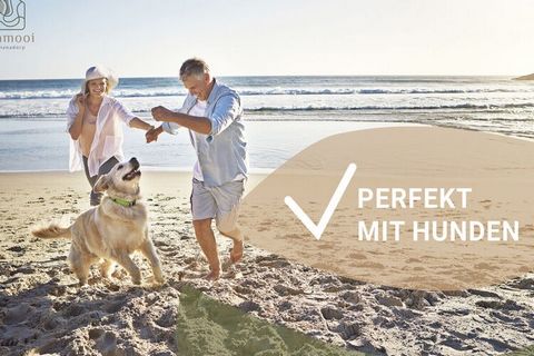 Freshly renovated, sweet holiday home directly behind the dunes in the sunniest place in Holland. Take your dog with you and unwind.