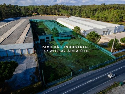 Industrial Pavilion - Pataias Industrial pavilion located between Marinha Grande and Pataias. Inserted in a plot of about 7,000 m2, it has a covered area of 2,000 m2. Property use: Warehouses and industrial activity. There is also the possibility of ...