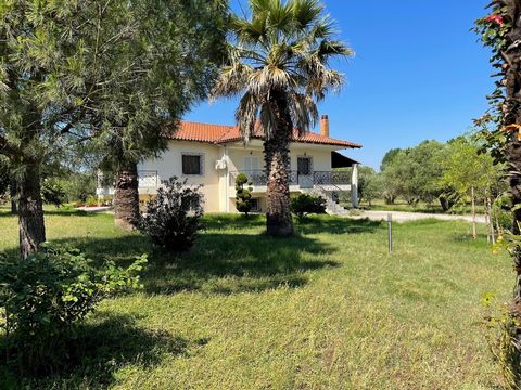 A peaceful country home, on a spacious plot (4375 sqm) full of olive and palm trees. Located on the outskirts of Thessaloniki, near the International Airport, and Chalkidiki, this property combines easy access to a bustling city life, the endless blu...