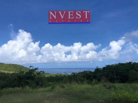 This rectangular lot is located on the elevated neighbourhood of Mount Pleasant. This ridgefront lot features uninterrupted sea views of the east coast and the untouched landscape of the island creating an oasis in an established modern neighbourhood...