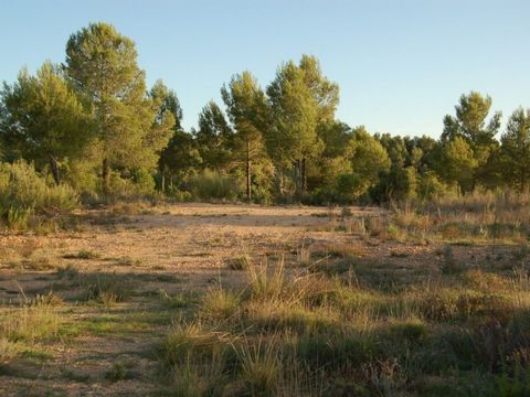 Perceel te koop in Teresa de Cofrentes met prachtig uitzicht en mogelijkheid tot aansluiting op het leidingwater Er is al een goedgekeurd project om een huis te bouwen het zal alleen uptodate moeten worden gemaakt