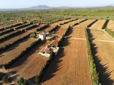 Grande ferme irriguée de 2623 hectares avec 3 maisons et 2 entrepôts entre autres