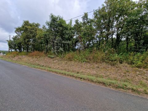 Gelegen in de stad Nadaillac, een mooi dorp in de Périgord Noir, vlak bouwperceel met een oppervlakte van 1157m2, met een vrij uitzicht op het omliggende platteland. De stad heeft basiswinkels (bakker, kruidenier, bar/restaurant, tuinder, enz.) en ee...