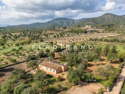 Unieke kans: Uitbreidbare finca op een toplocatie Ingezonden vergunning met zwembad: Deze charmante finca ligt in de gewilde regio Santa María del Camí, genesteld in het pittoreske platteland van Mallorca en op slechts een steenworp afstand van het T...