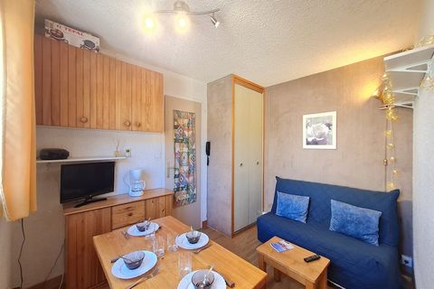 The studio in Les Deux Alpes has capacity for 4 persons. Accommodation of 18 m² comfortable and is very light, located on at the foot of the ski slope. The property is located 50 m ski resort and it is located in a a family-friendly zone and in a mou...