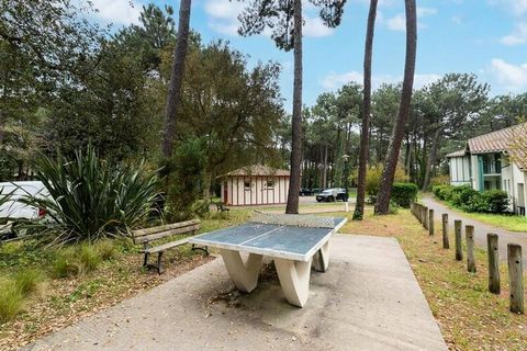 A stone's throw from the fine sandy beaches, the Le Domaine du Golf de Pinsolle residence is located on the edge of the golf course, 1 km from the Etangs marine lake. This holiday residence in Soustons offers quality accommodation in a calm and relax...