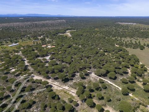 Investitionsmöglichkeit | Grundstück 6,7ha | unverbaubarer Blick Kiefern und Korkeichen | Melides, Comporta Bau und Entwicklung eines kleinen Landhotels mit 3 unabhängigen Villen in der begehrten Region von Melides. Das Grundstück mit einer Fläche vo...