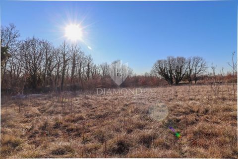 Location: Istarska županija, Svetvinčenat, Svetvinčenat. Istria, Svetvinčenat A beautiful building plot of 1322 m² is for sale, located on the edge of the construction zone, surrounded by untouched nature and forest, near Svetvinčenat. The land has a...