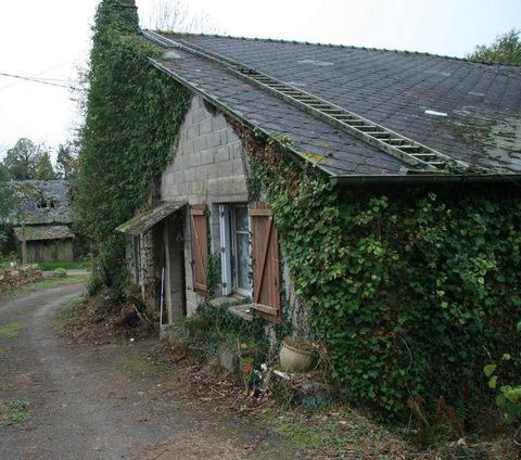 photo no. 3