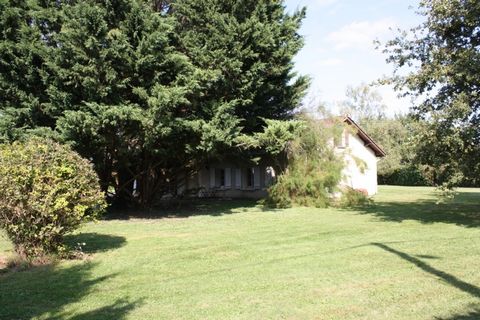 photo no. 1