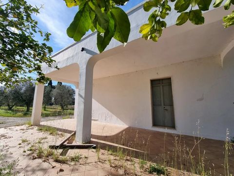 Wenn Sie nach einem ruhigen Rückzugsort in der ruhigen Landschaft Apuliens suchen, ist diese Villa zum Verkauf in Apulien in der Nähe von Oria eine seltene Gelegenheit, die Sie sich nicht entgehen lassen sollten. Eingebettet zwischen Olivenhainen und...