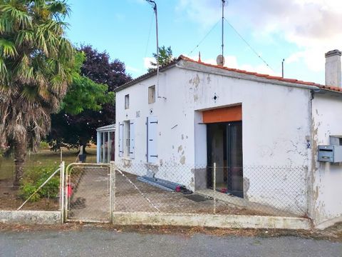 photo no. 1