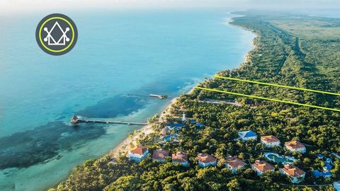 Ce sanctuaire en bord de mer de 7,367 acres, situé à seulement 300 pieds au sud de Margaritaville Beach Resort, offre une opportunité rare de posséder un coin de paradis intact à Ambergris Caye. Avec 250 pieds de front de mer immaculé, vous pouvez pa...