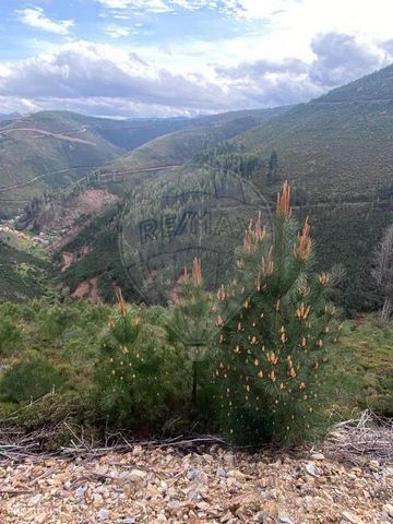 A área na Serra do Açor, próxima à aldeia das Relvas, Teixeira e Caratão, é apresentada em três artigos totalizando 4750 m2. Esta região possui uma variedade de vegetação, incluindo castanheiros, eucaliptos, mato e alguns pinheiros. Há também uma ruí...