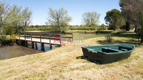 Située en campagne à environ 15 minutes du centre ville d'Arles, cette jolie maison d'environ 300m2 sur une parcelle de 10131m2 attend son nouveau propriétaire. A l'extérieur, vous découvrirez un havre de paix avec plan d'eau privatif, terrain de pét...