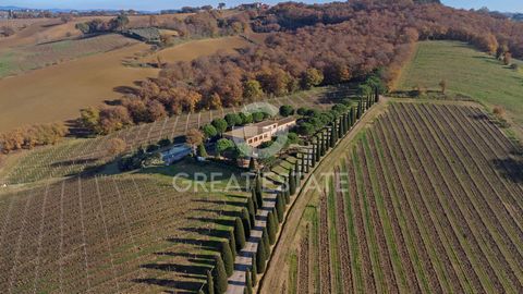 Questo meraviglioso casale, immerso nelle campagne di Montepulciano e in posizione dominante, è distribuito su due livelli ed è composto come segue. Il casale principale ospita al piano terra un ingresso, un salone quadruplo molto ampio e perfetto pe...