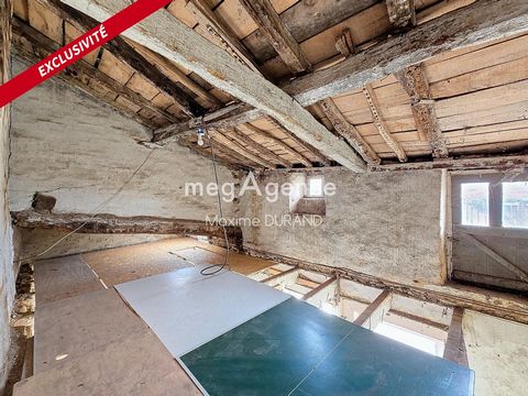 photo no. 13