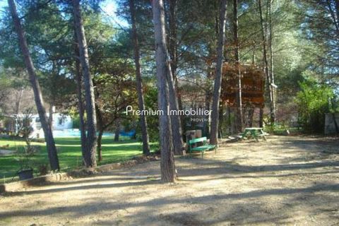 photo no. 12