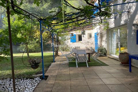 photo no. 13