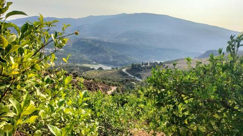 Dit land is gelegen in Restabal, 18658, El Valle, Granada. Het is een land met een oppervlakte van 6000 m2. Met een zwembad en sinaasappelbomen. Het heeft een zuidelijke oriëntatie en rustieke eigendom. De aangegeven prijs is exclusief belastingen of...