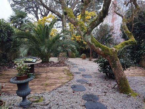photo no. 14